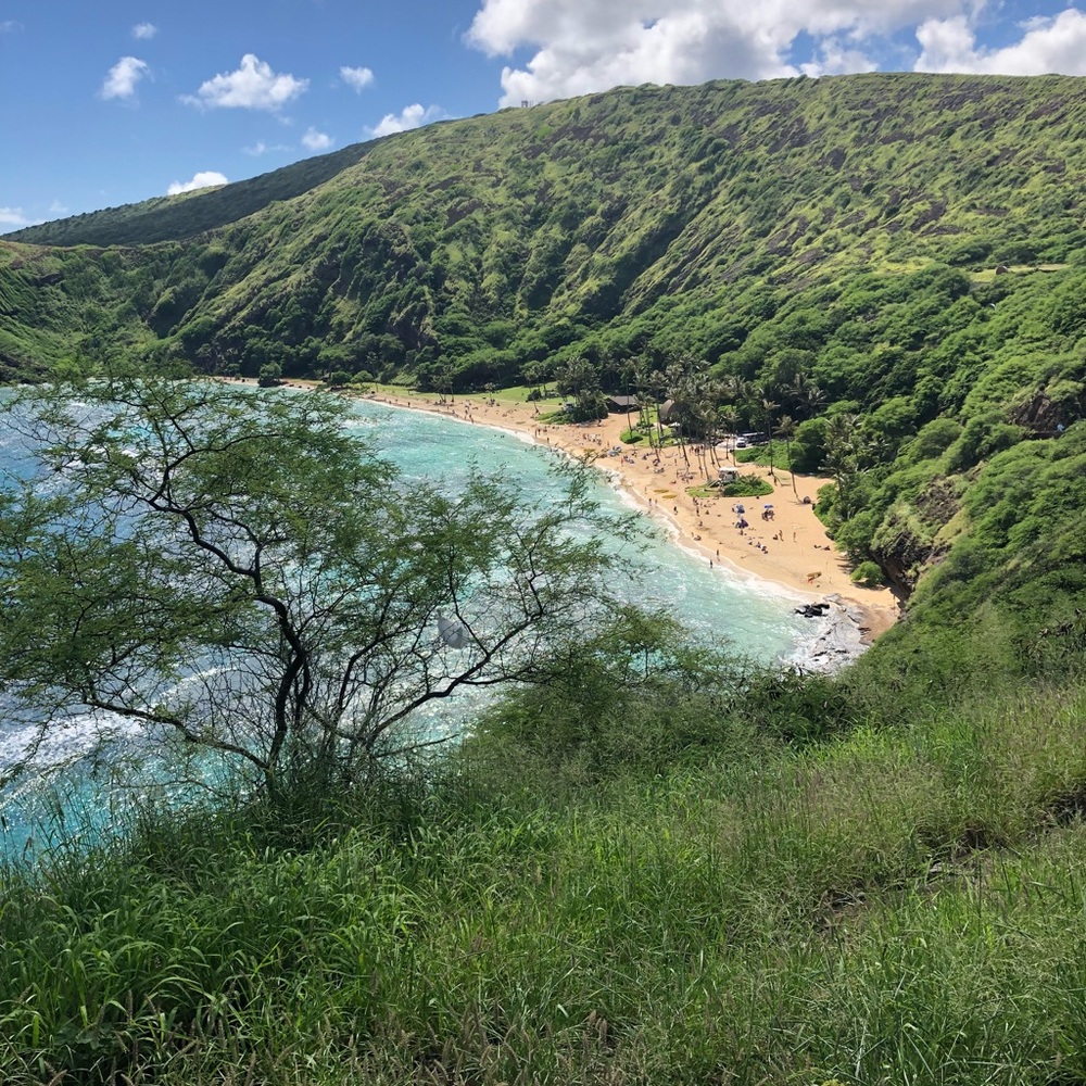 Meet your Posher, Cheryl
